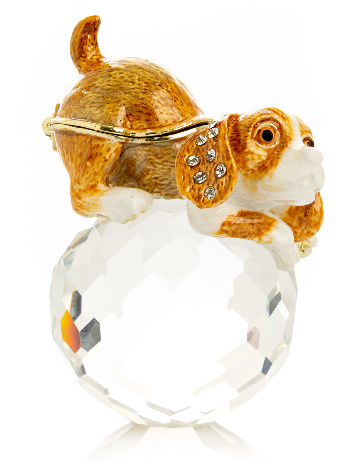 Brown Puppy on Crystal