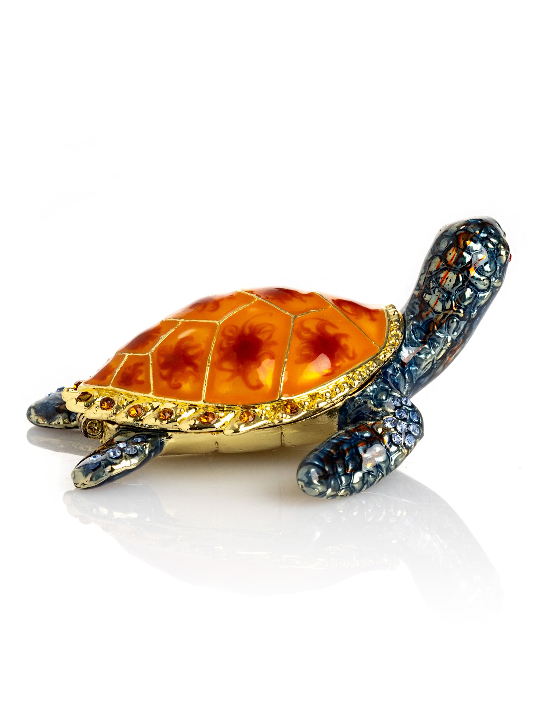 Sea Turtle