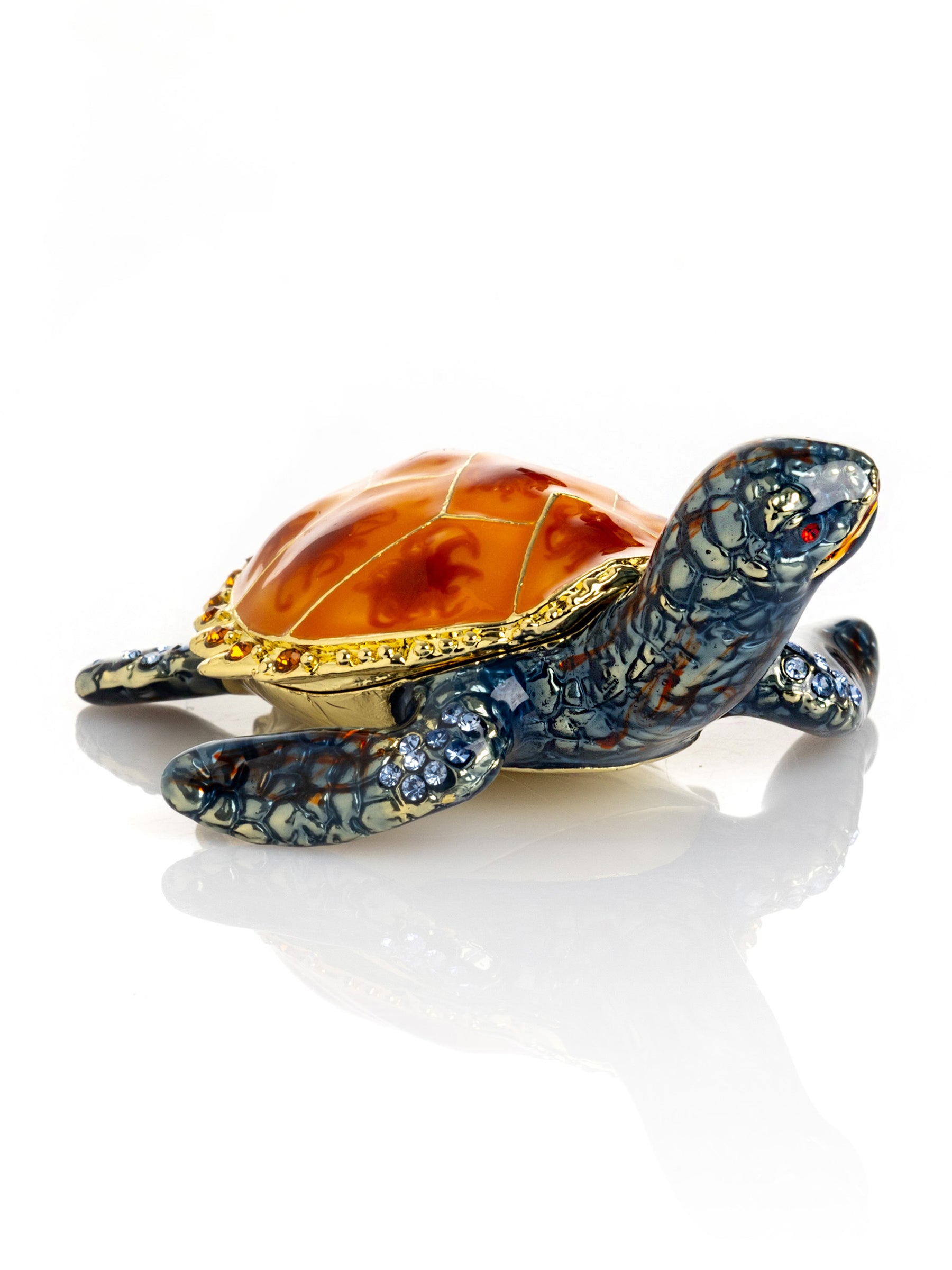 Sea Turtle