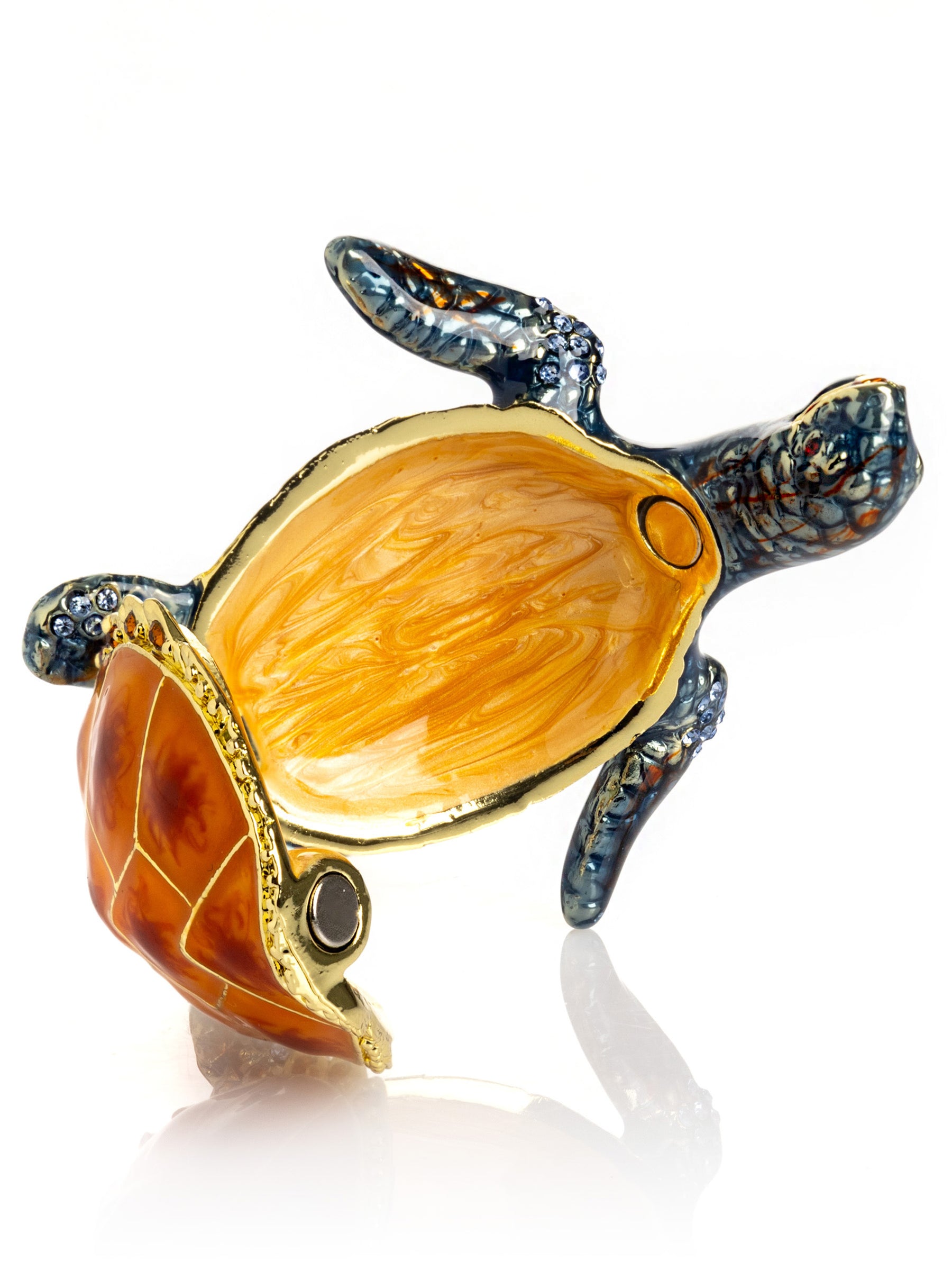 Sea Turtle