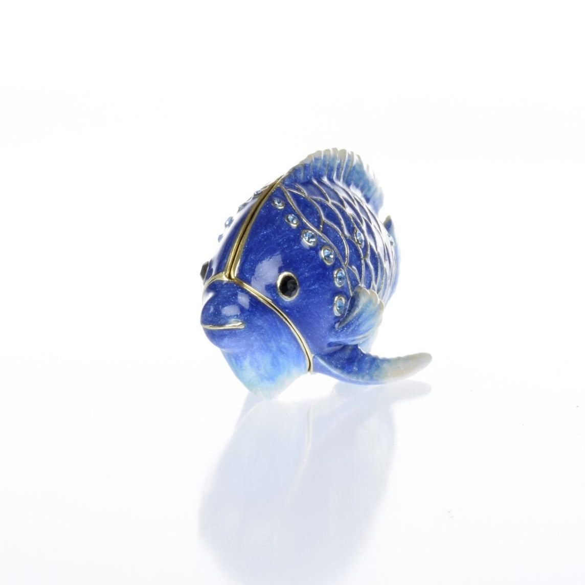 Blue Rainbowfish Fish trinket box