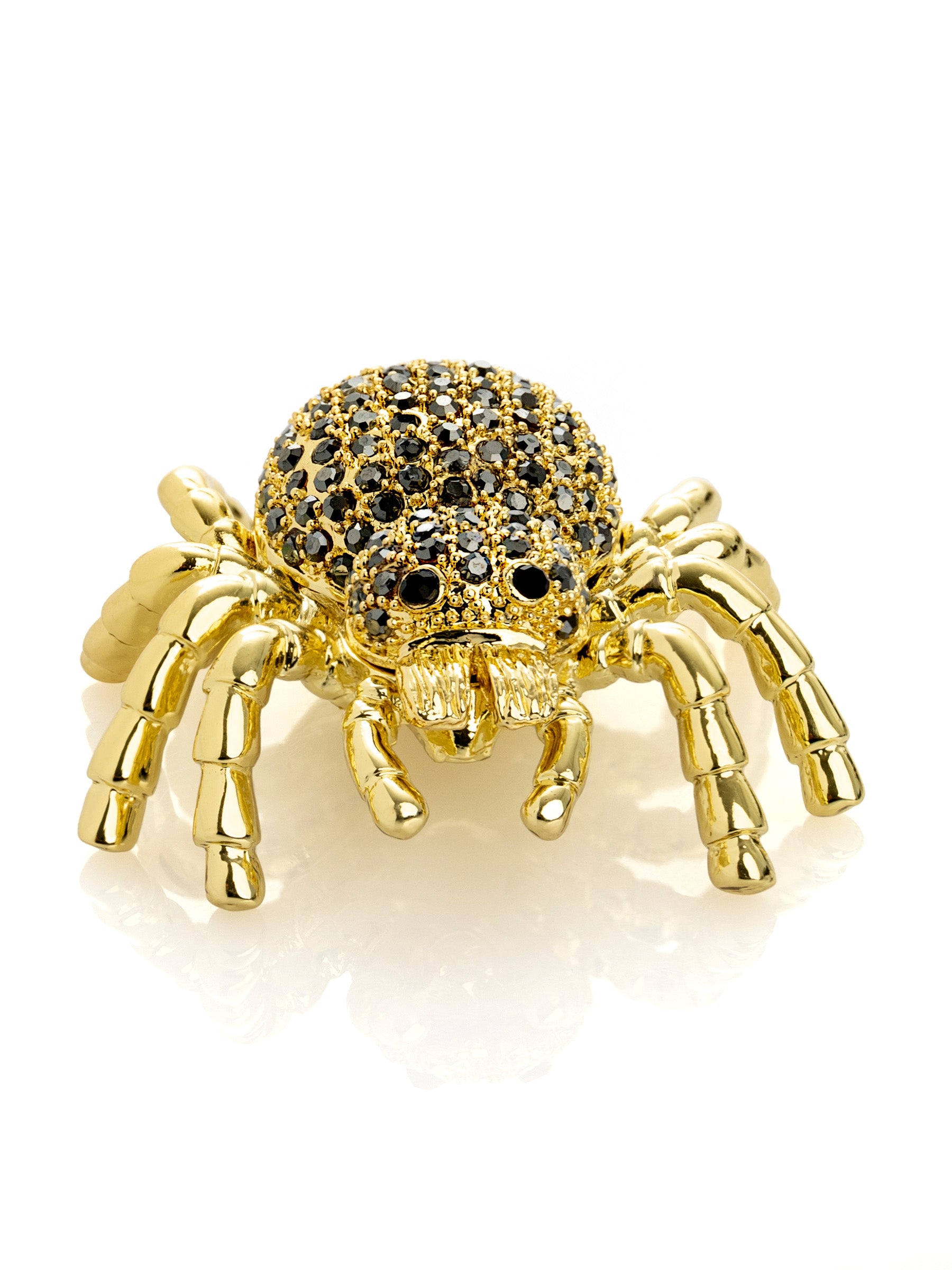 Gold & Black Tarantula Spider