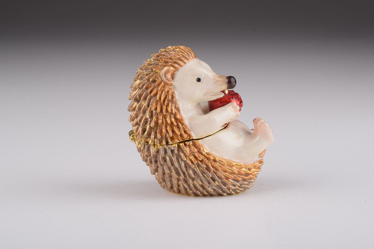 Cute Hedgehog