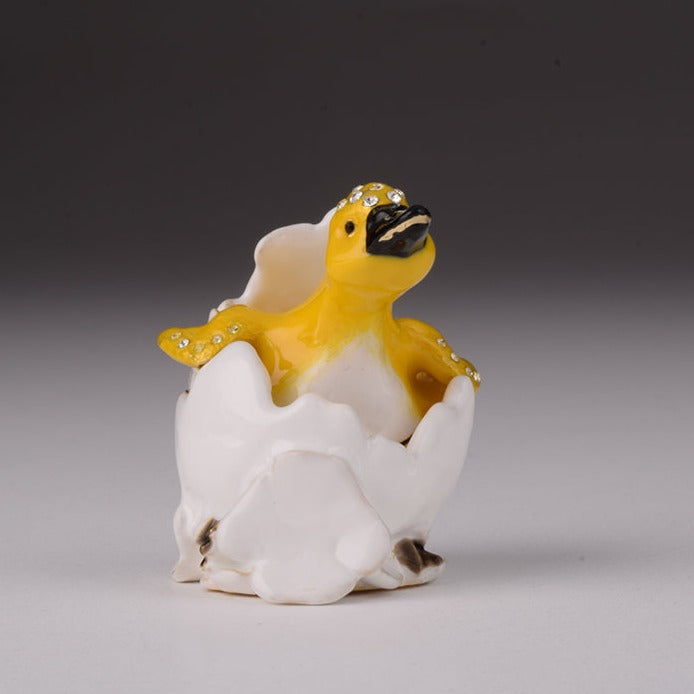 Duck Coming out of Eggshell