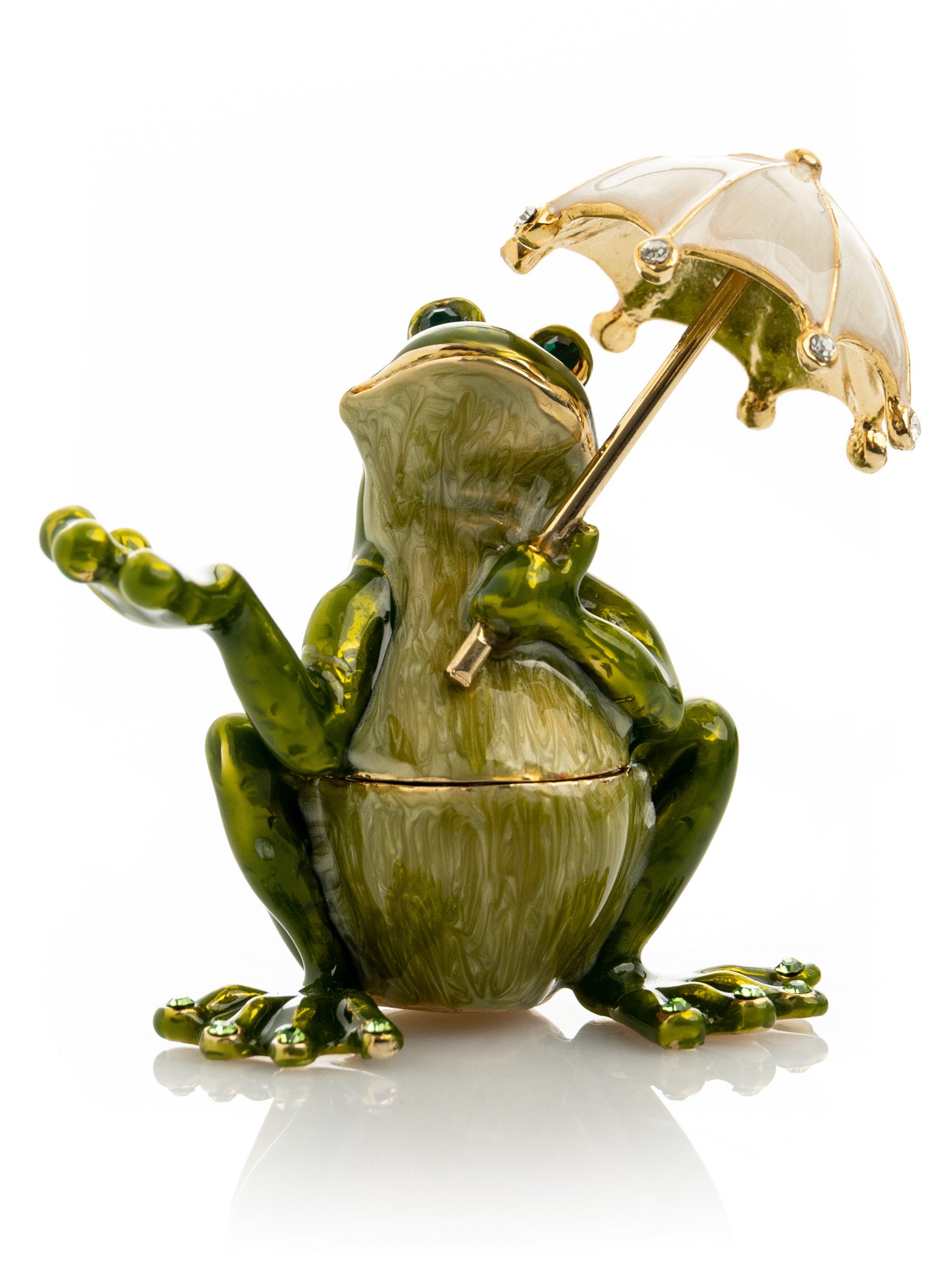 Frog with an Umbrella