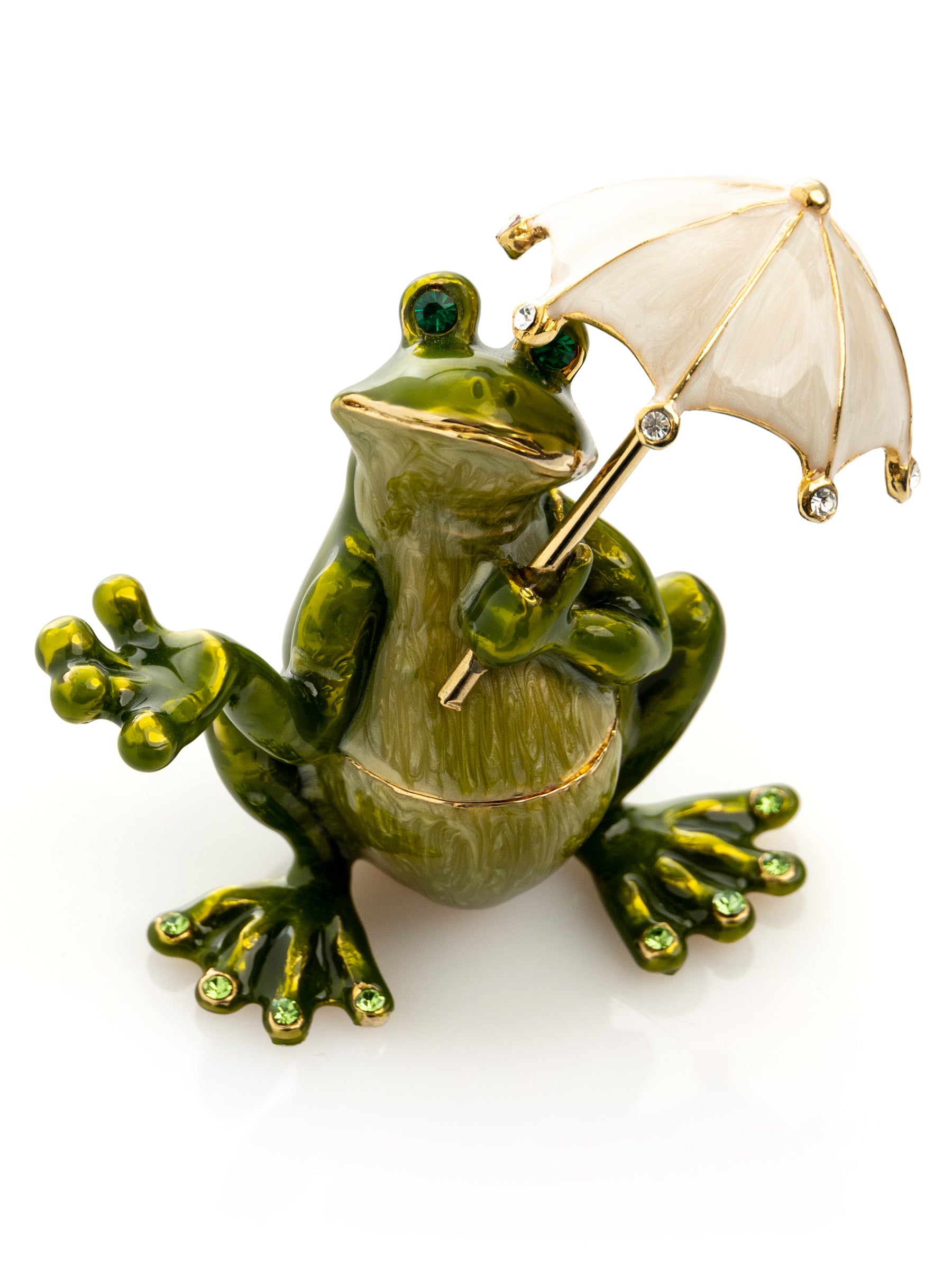 Frog with an Umbrella