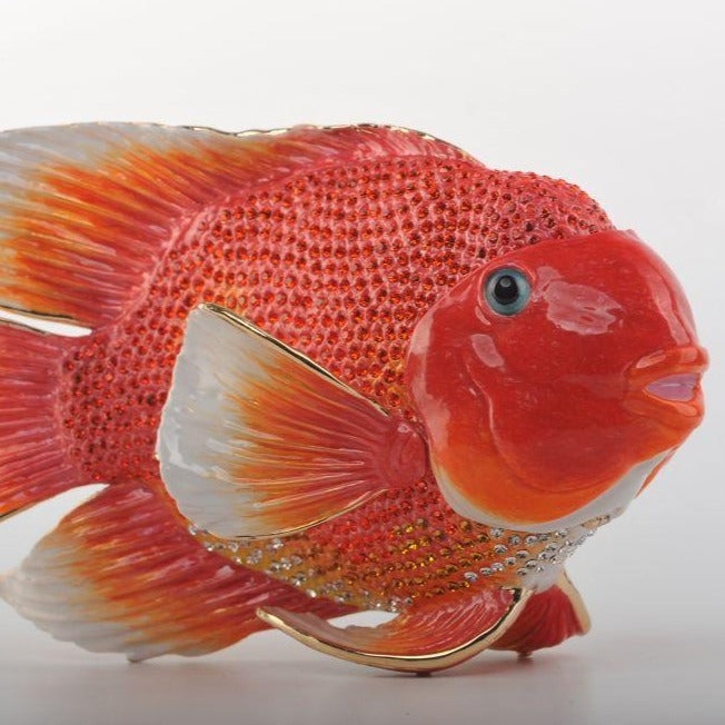 Keren Kopal Red Goldfish