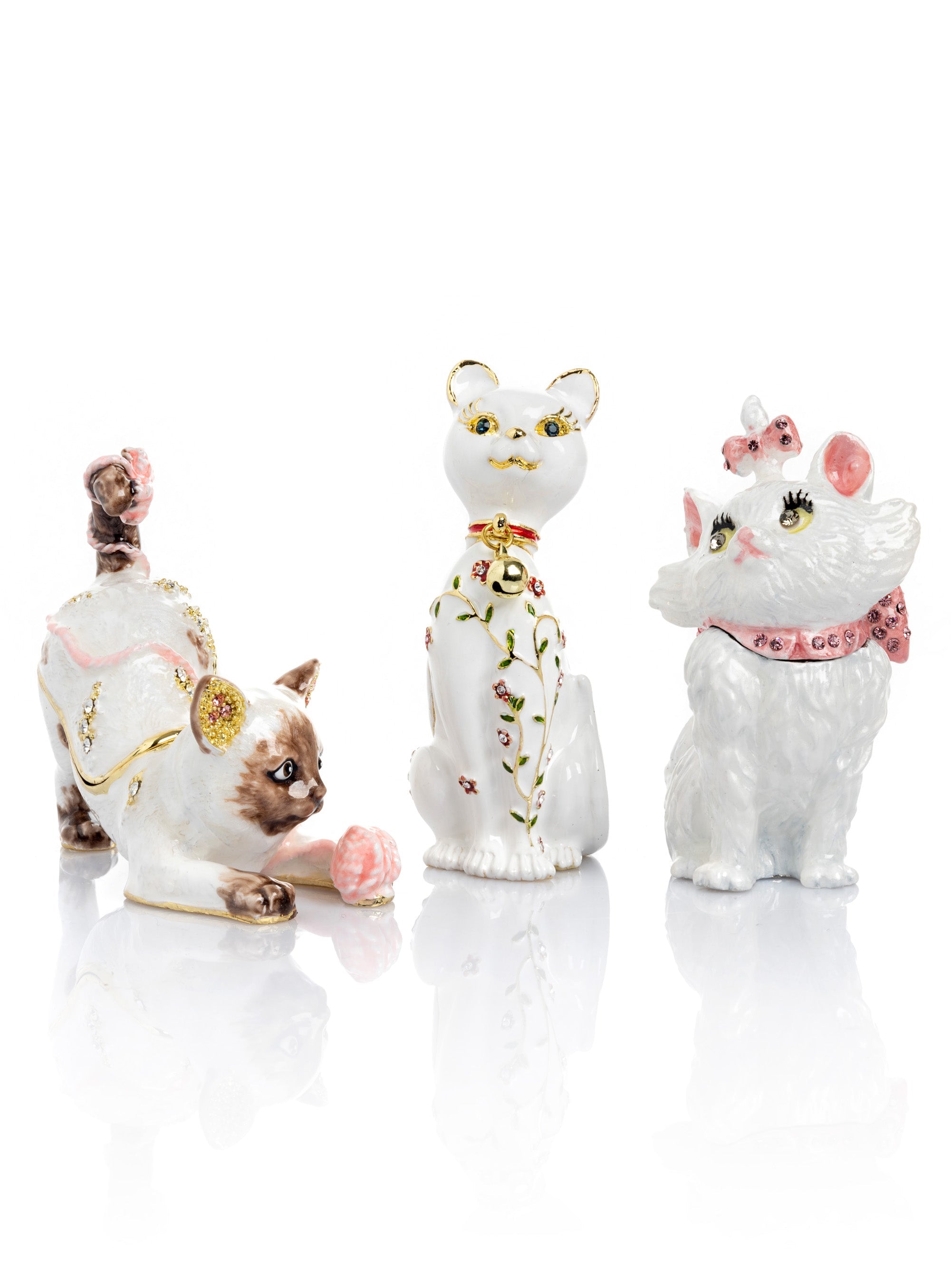 Cats & Dogs