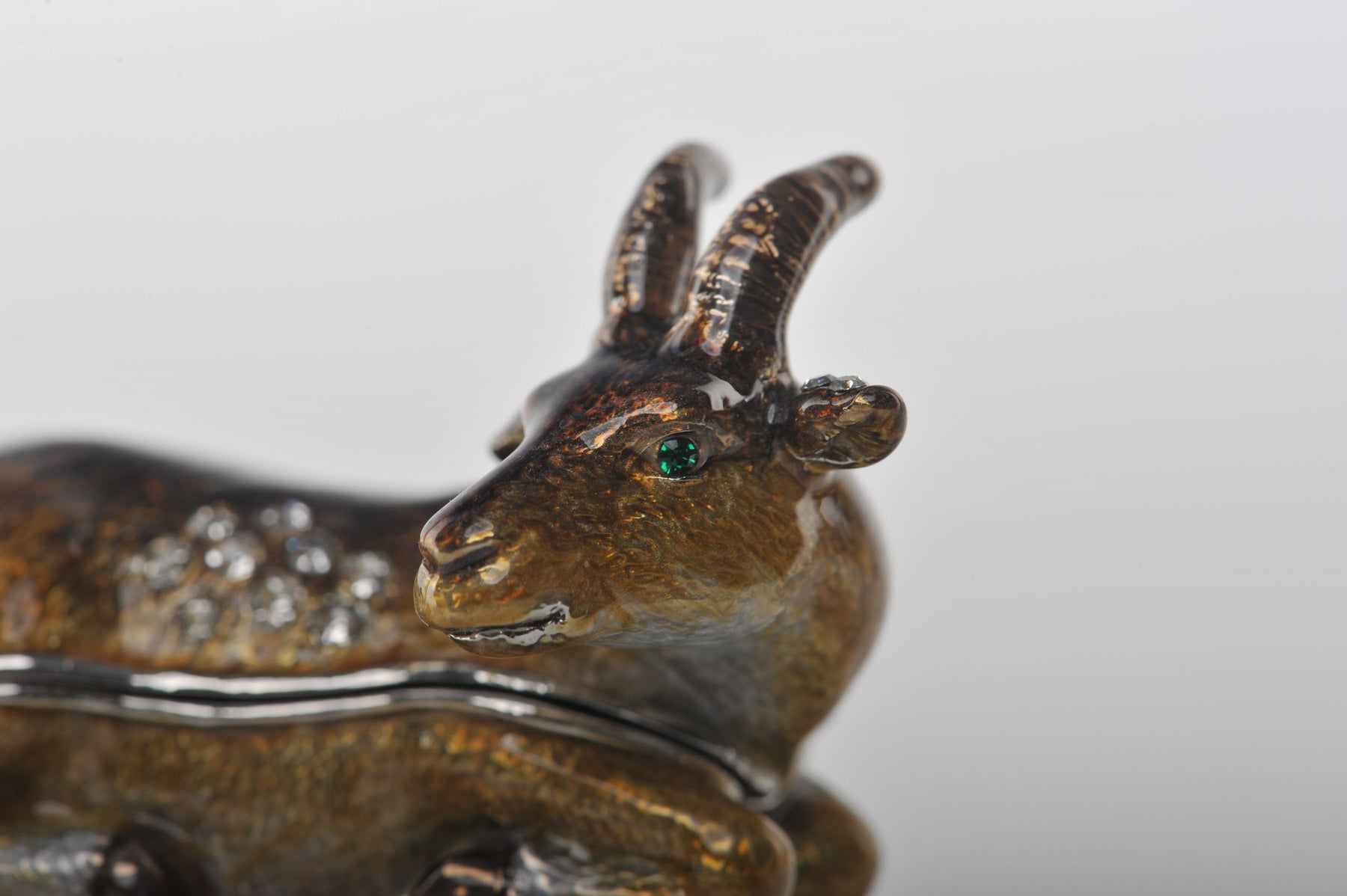 Zodiac Ram Laying on Hand