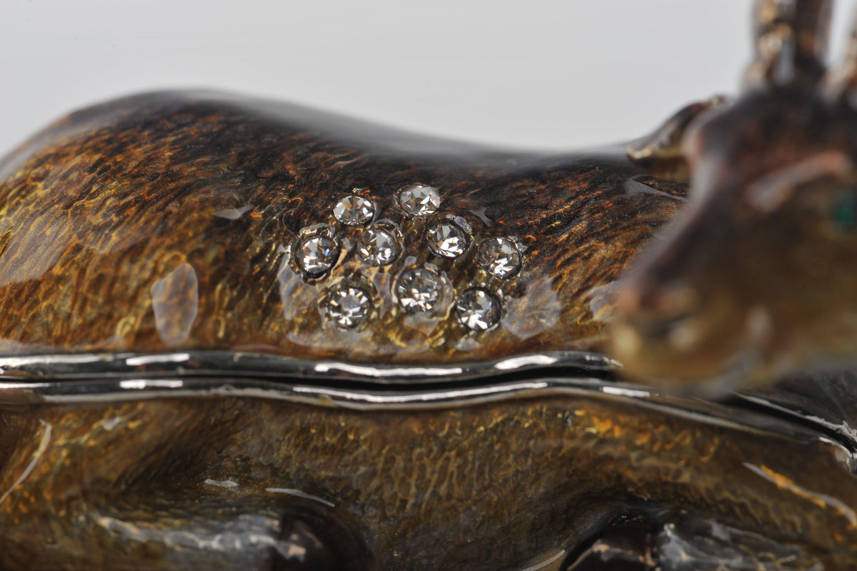 Zodiac Ram Laying on Hand