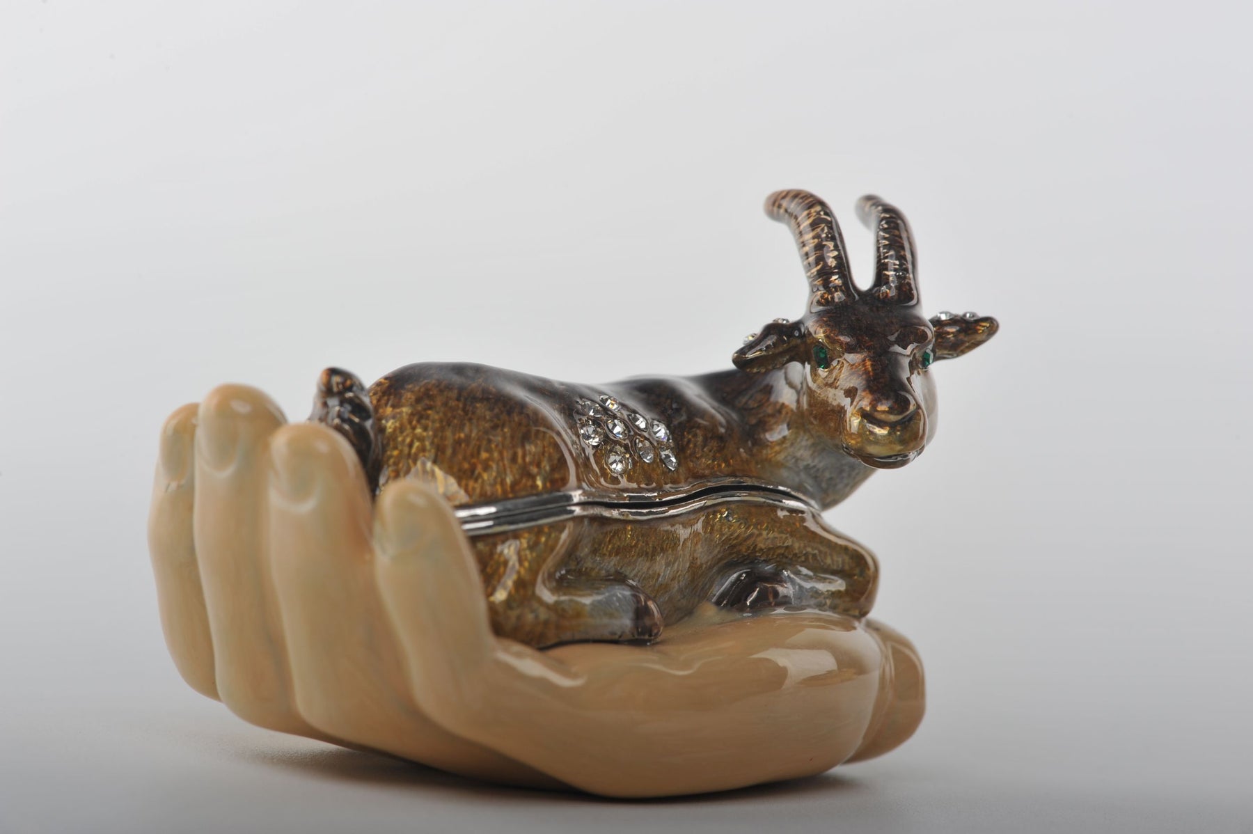 Zodiac Ram Laying on Hand