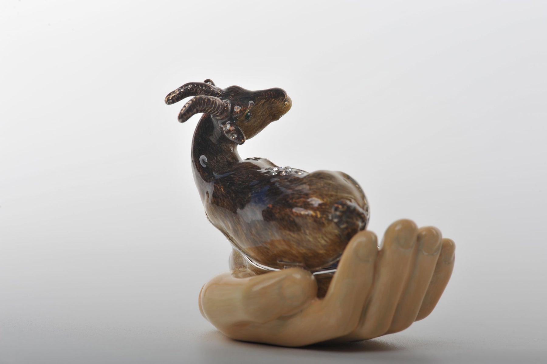 Zodiac Ram Laying on Hand