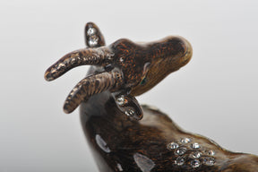 Zodiac Ram Laying on Hand