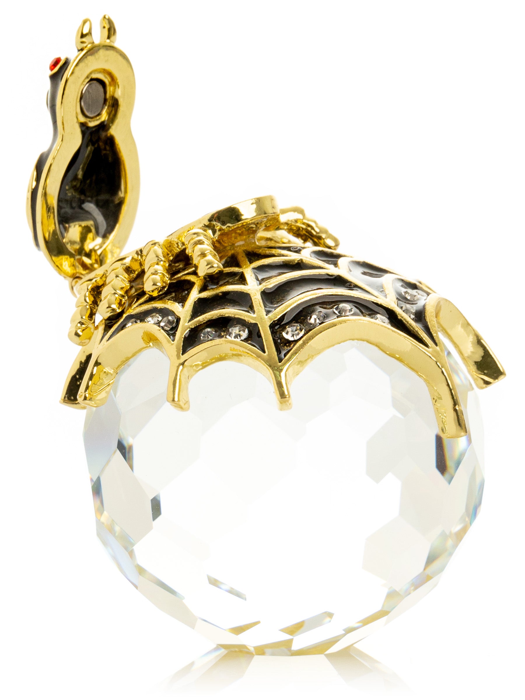 Keren Kopal Spider on Crystal