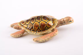 Keren Kopal Brown Sea Turtle