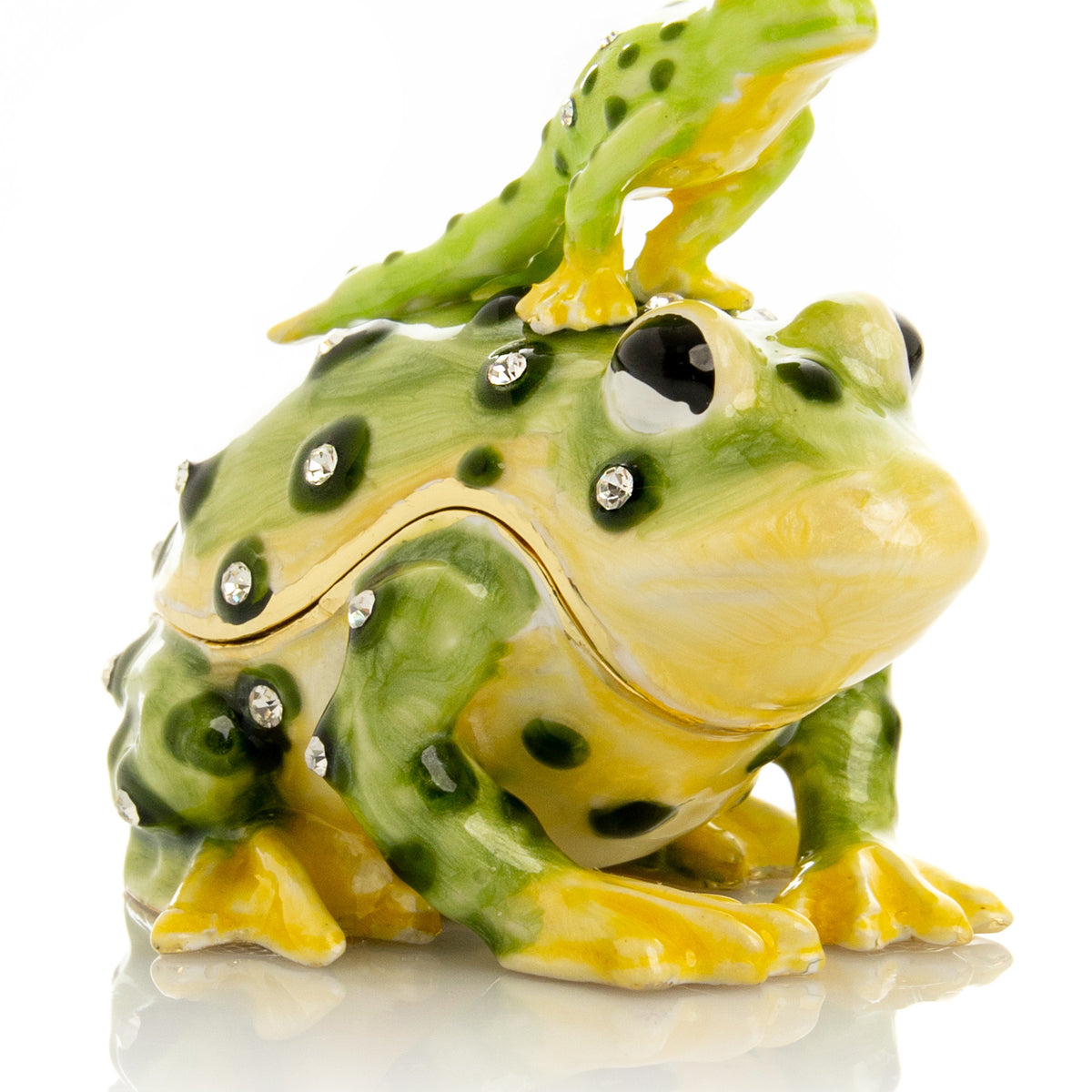 Black Spotted Toad Frog with a Baby Frog on the back