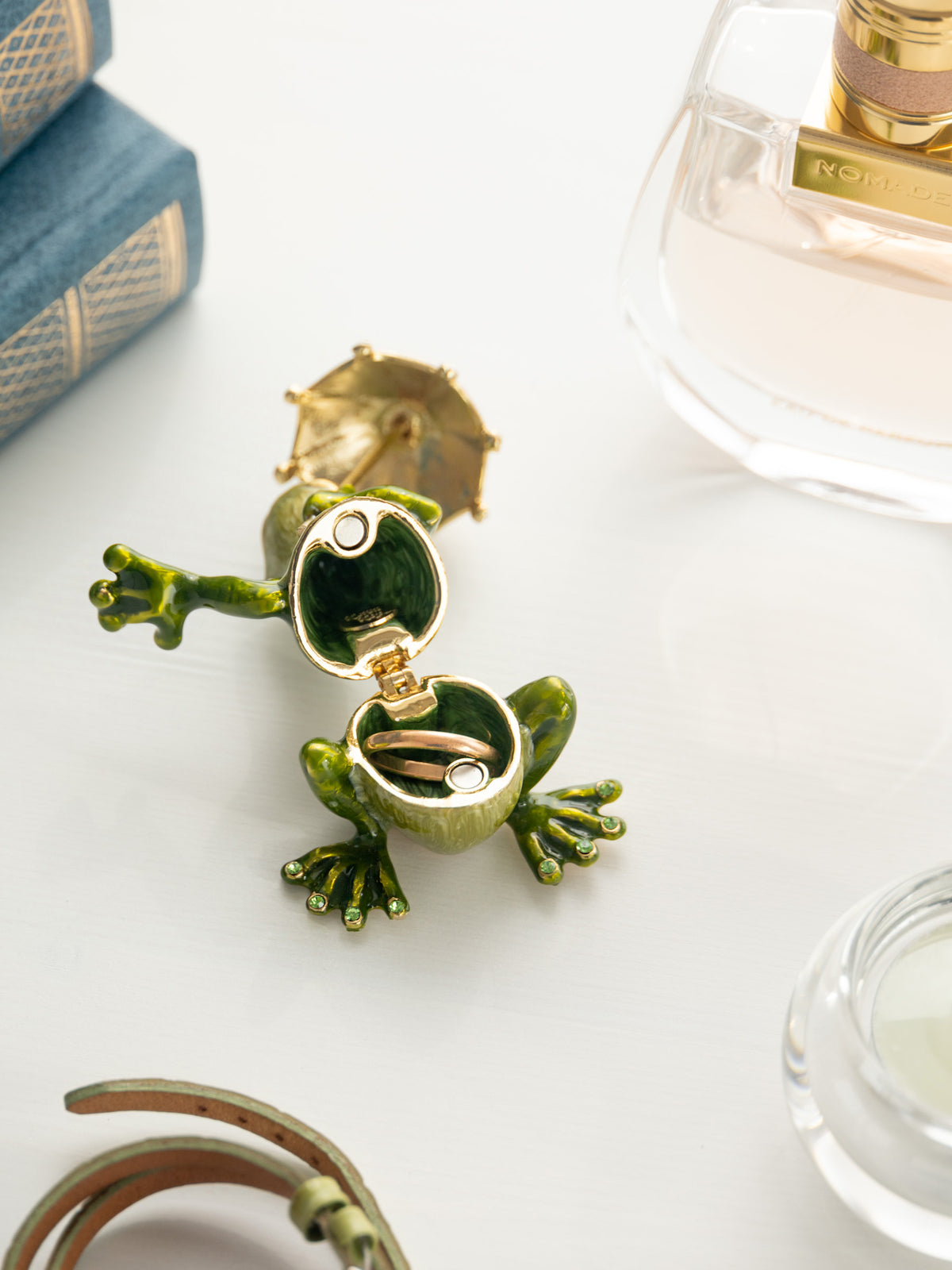 Frog holding an Umbrella