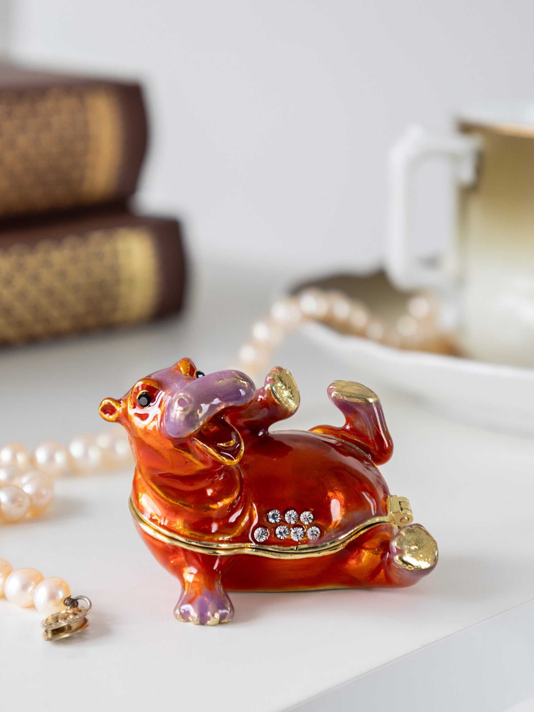 Happy Hippo Laying on His Back