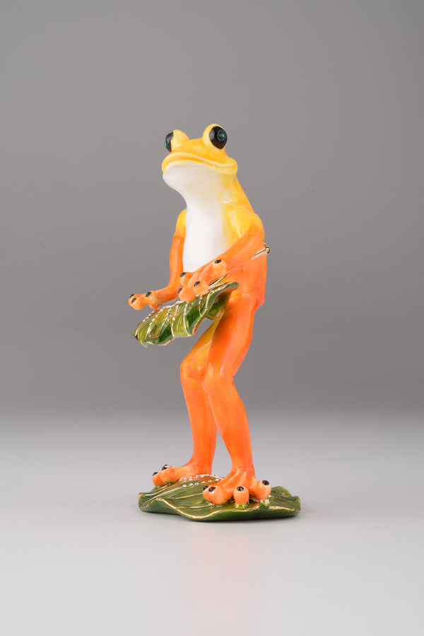 Grenouille Jouant au Clavier