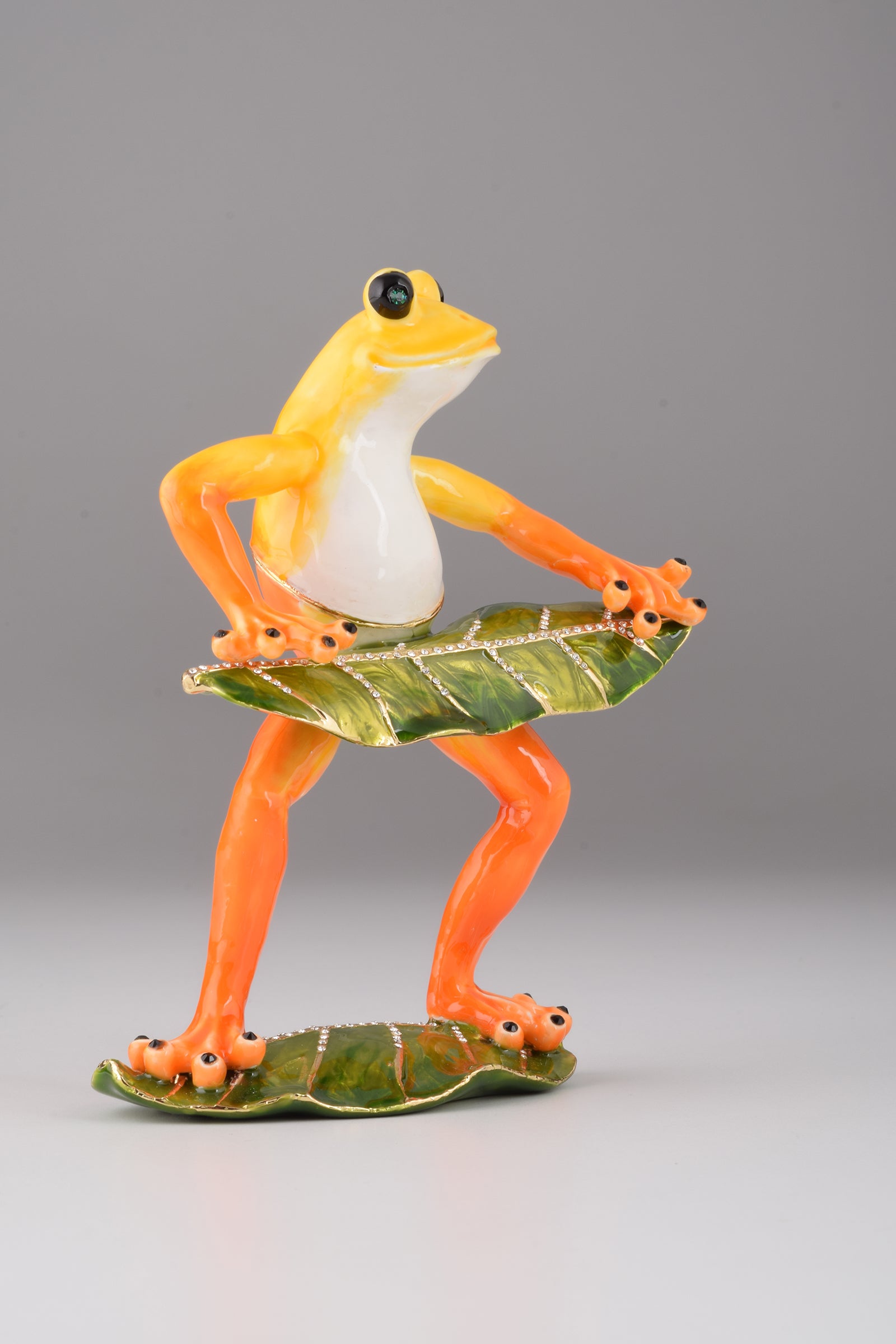 Keren Kopal Frog Playing on Keyboards