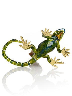 Grüner Leguan