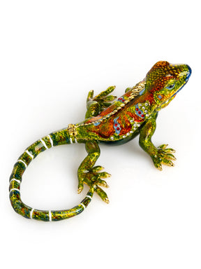 Grüner Leguan