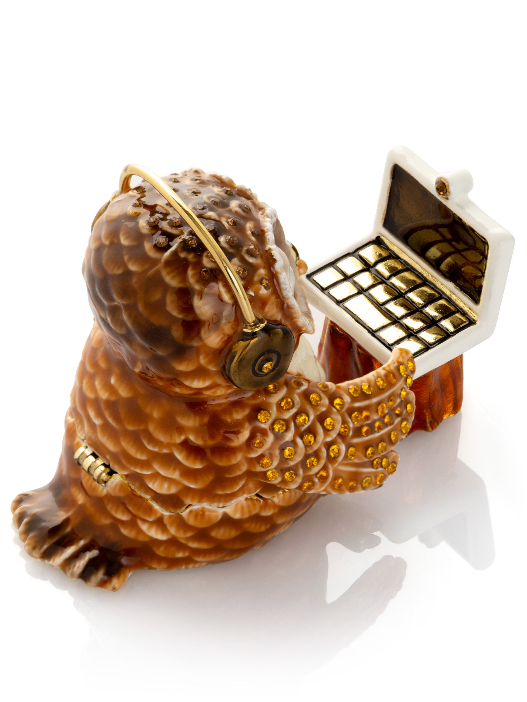Owl Computer Gamer