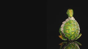 Turtle Fishing for a Goldfish Trinket Box