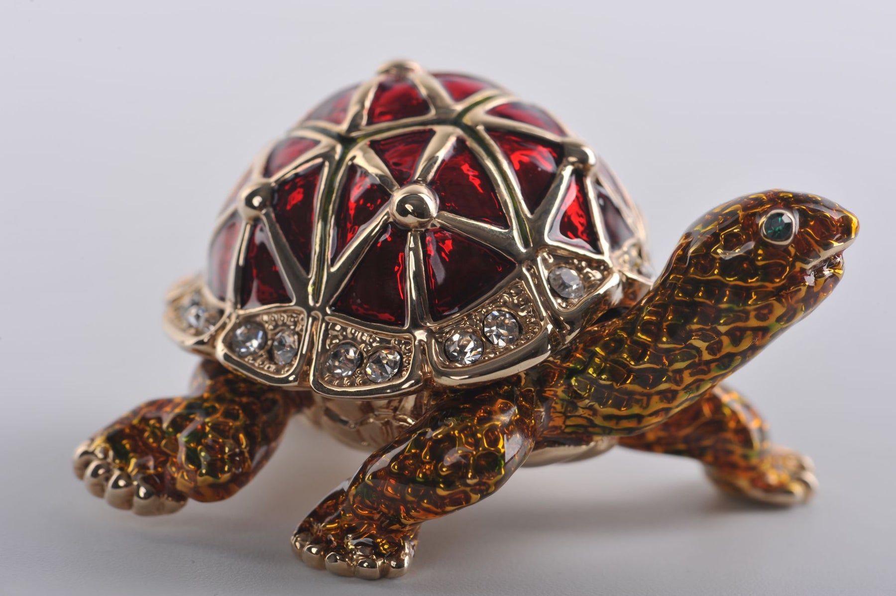 Ambre &amp; Tortue Rouge