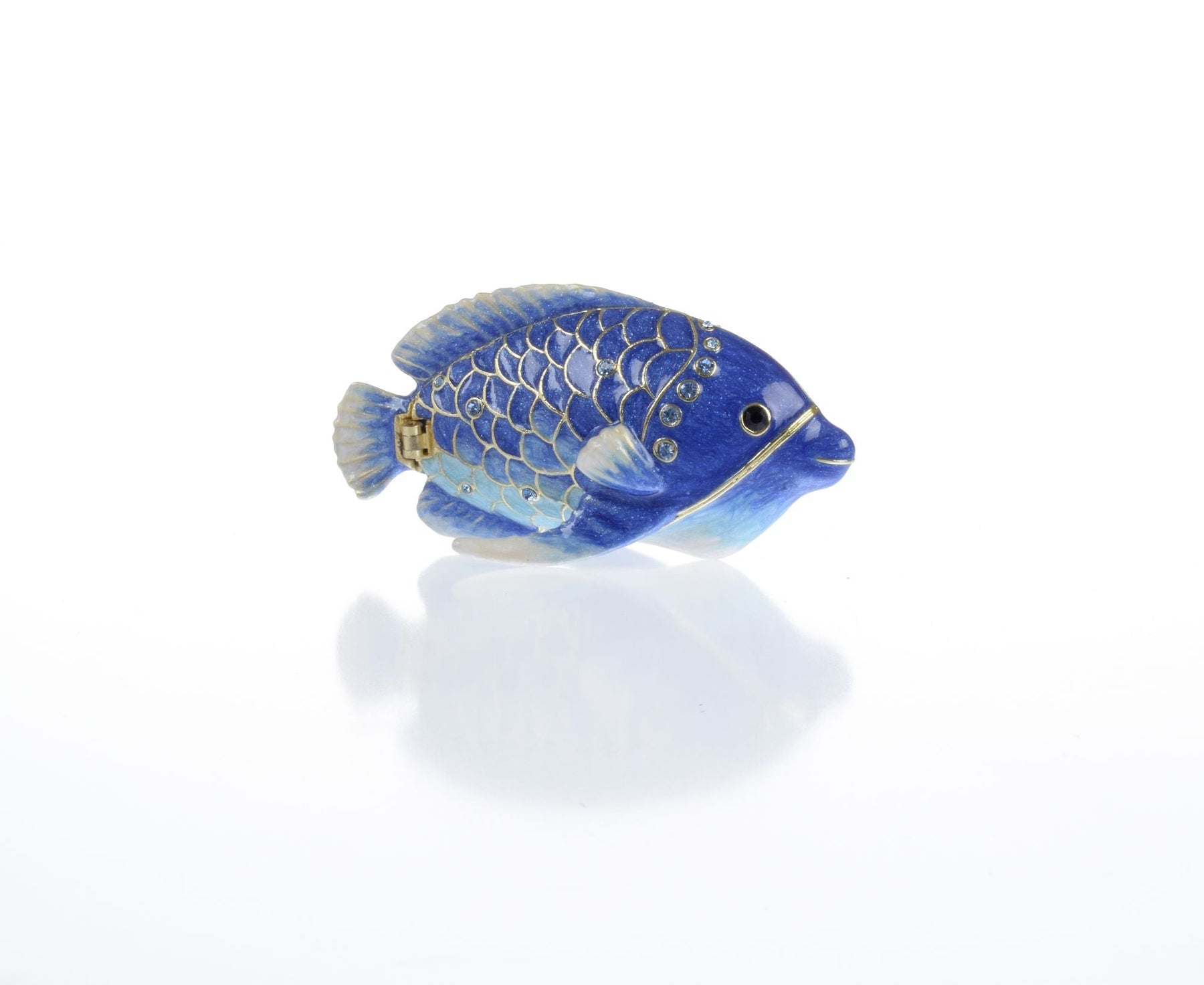Blue Rainbowfish Fish trinket box