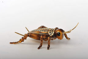 Amber Grasshopper