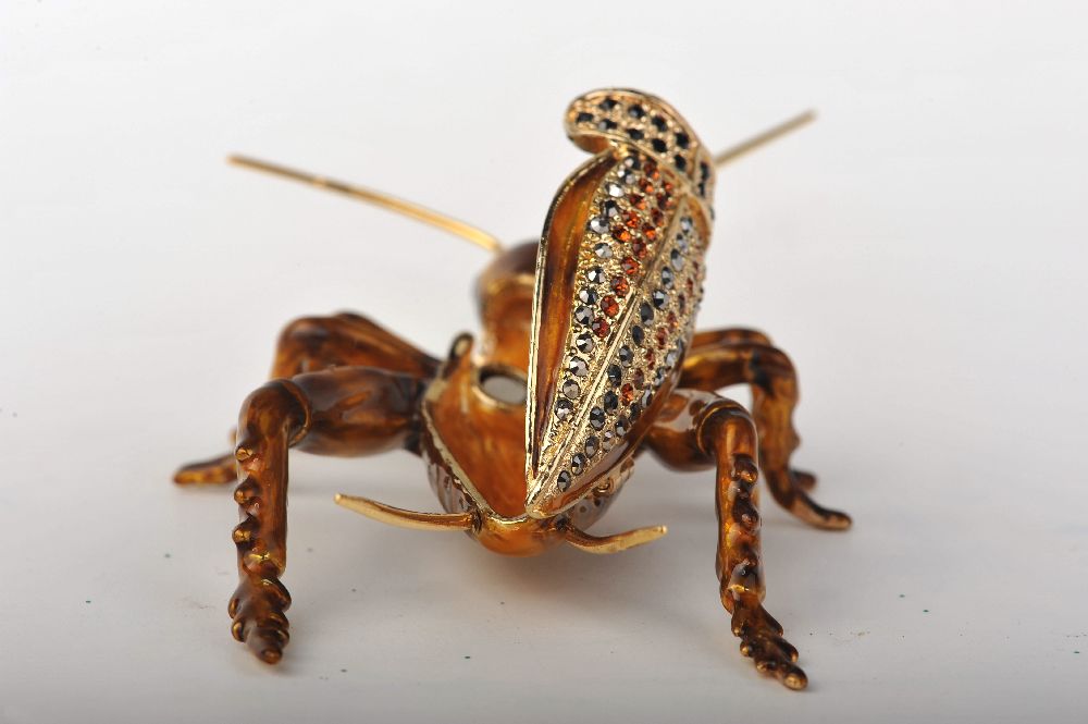 Amber Grasshopper