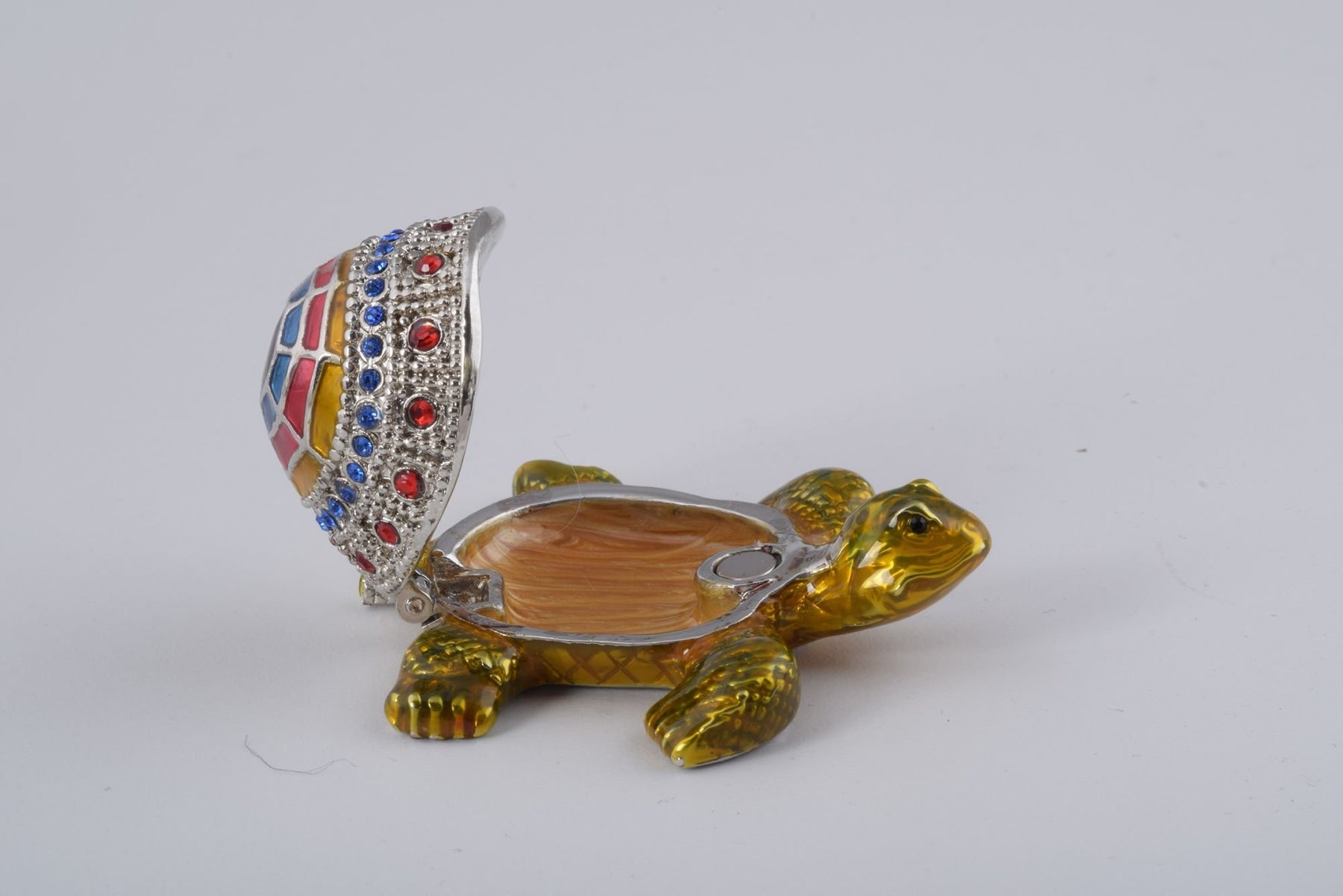 Colorful Shell Turtle  Keren Kopal