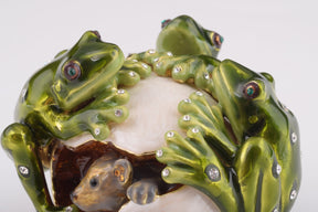 Frogs on Egg