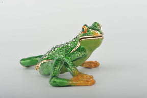 Flexible Green Frog  Keren Kopal