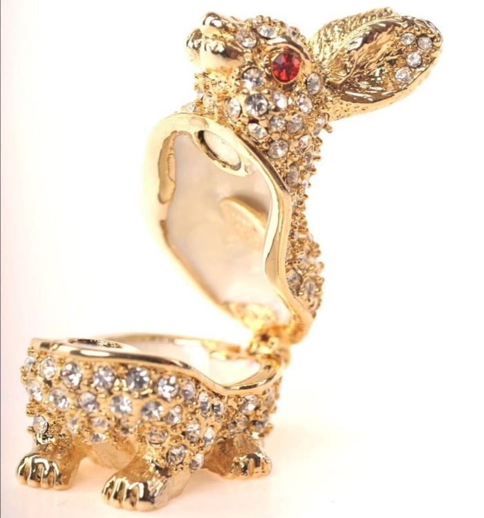 Golden Rabbit with Red Eyes