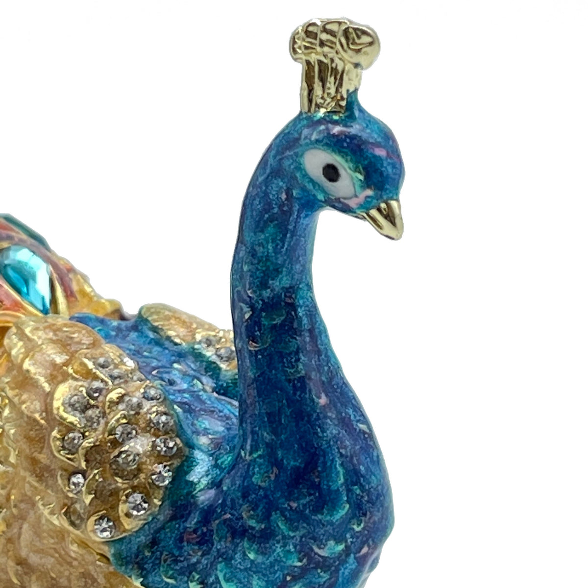 Blue Peacock