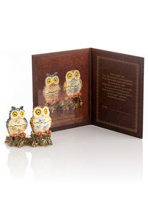Two Owls Sitting on Tree Trunk