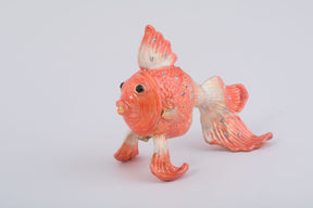 Pink Betta Fish  Keren Kopal