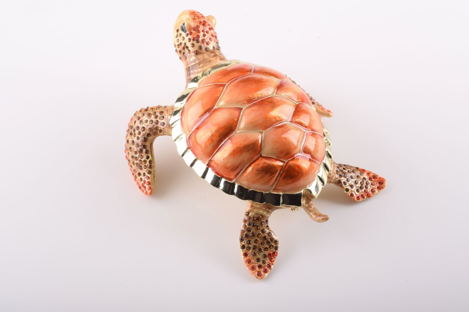 Red Sea Turtle  Keren Kopal