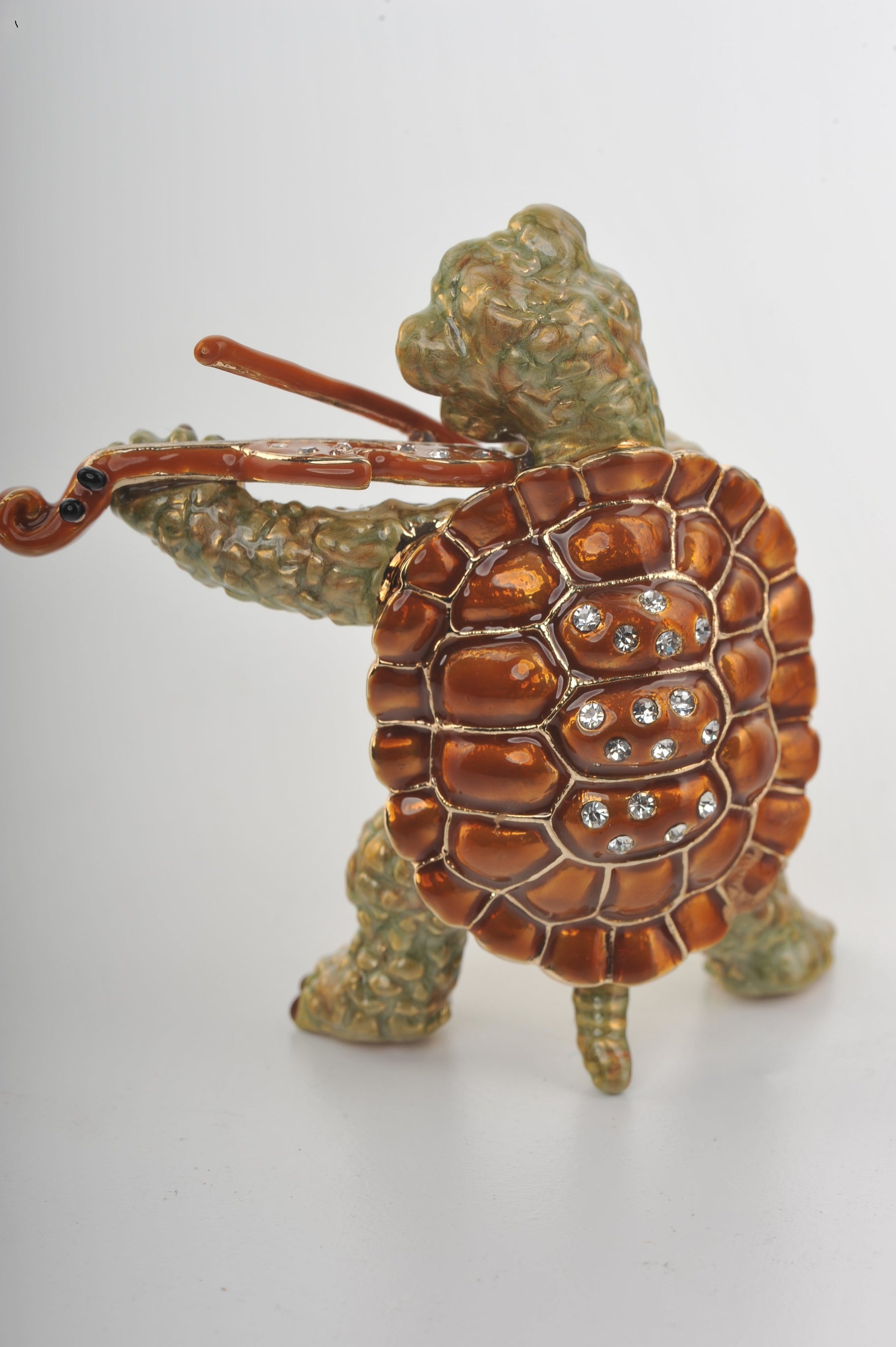Turtle Playing the Violin  Keren Kopal
