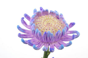 Purple Flower trinket box Keren Kopal